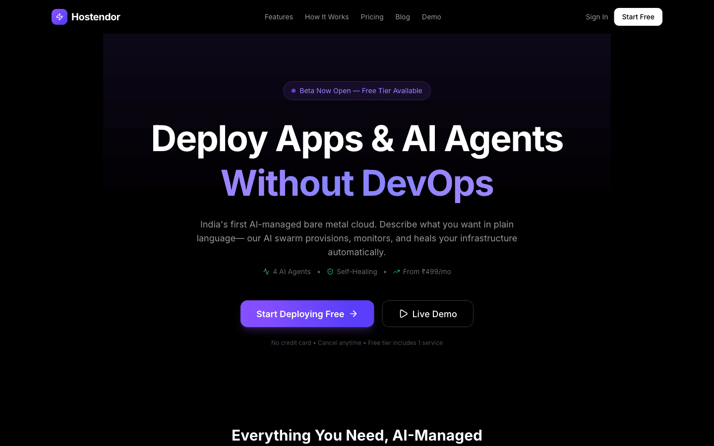 Hostendor interface