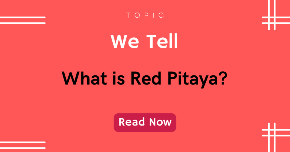 What is Red Pitaya?